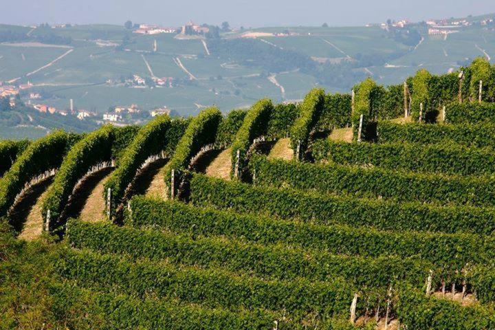 Agriturismo Cascina Rabalot Diano dʼAlba エクステリア 写真