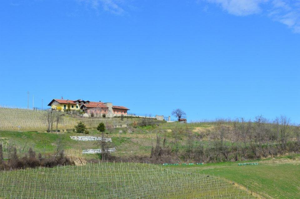 Agriturismo Cascina Rabalot Diano dʼAlba エクステリア 写真
