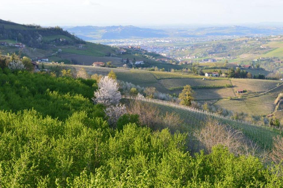 Agriturismo Cascina Rabalot Diano dʼAlba エクステリア 写真